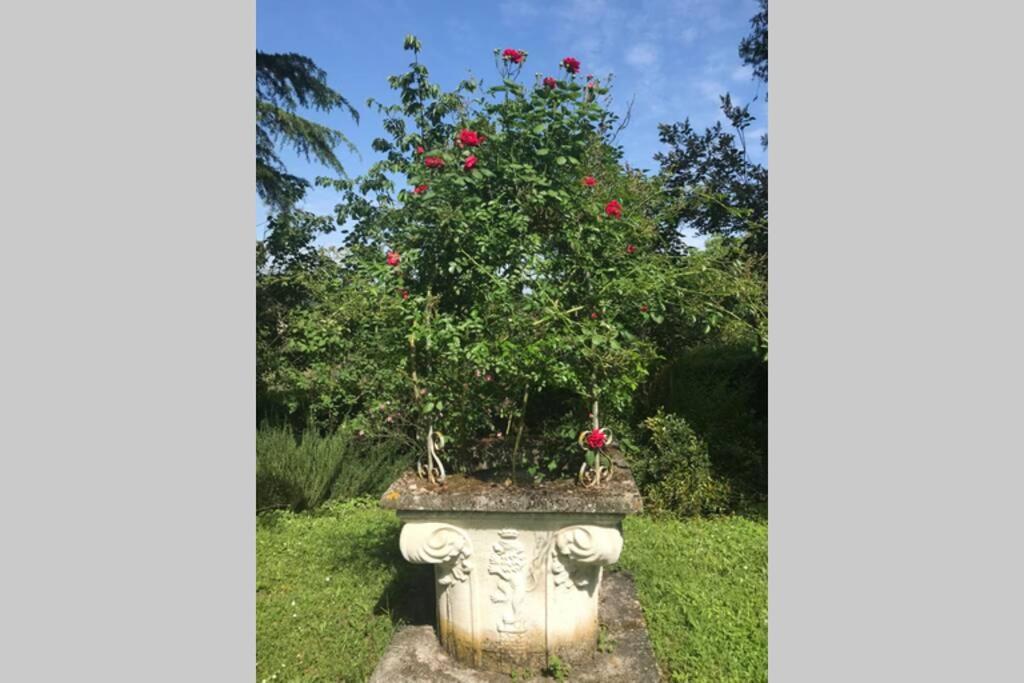 Casa La Torre Un Castello Alle Porte Di Firenze